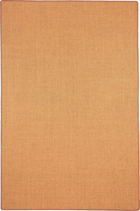 Image du produit Snapstyle Tapis en sisal naturel Classique - 9 coloris en 17 tailles (100 x 200 cm)