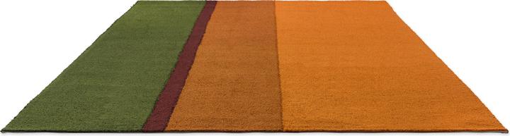 Actual product image Brink & Campman Habitat Festival Stripe (250 x 350 cm)