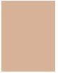 Image du produit Sisley Phyto Teint Nude No 2C (2C Soft Beige)