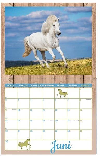 Immagine prodotto Calendario per cavalli confezione 2025, 9 pezzi (Tedesco)