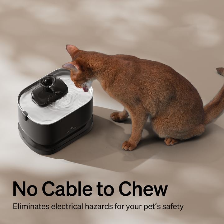 Produktbild Petlibro Dockstream Battery-Operated Water Fountain