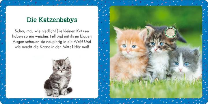 Actual product image Sound book for tiny tots - Little animals (German)