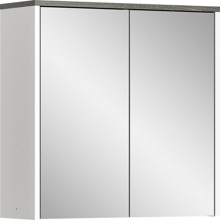 Xonox Home Los Angeles mirror cabinet