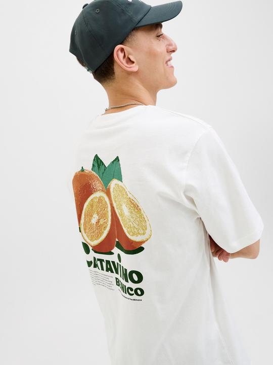 Produktbild Jack & Jones Jorbradley Fruits Tee Ss C.N Stmss25 (S)