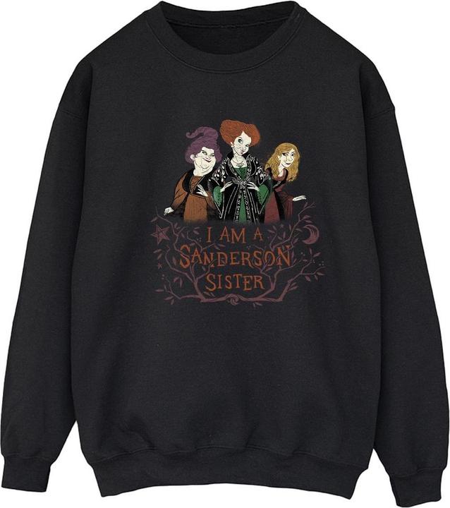 Produktbild Disney Hocus Pocus Sanderson Sister Sweatshirt (XL)