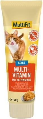 MultiFit Multivitamin Paste (100 g)