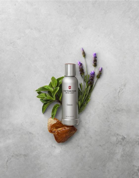 Image du produit Victorinox Armée suisse (Eau de toilette, 100 ml)