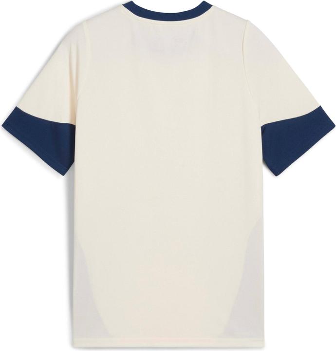 Image du produit Puma FPF Training Jersey Jr (140)