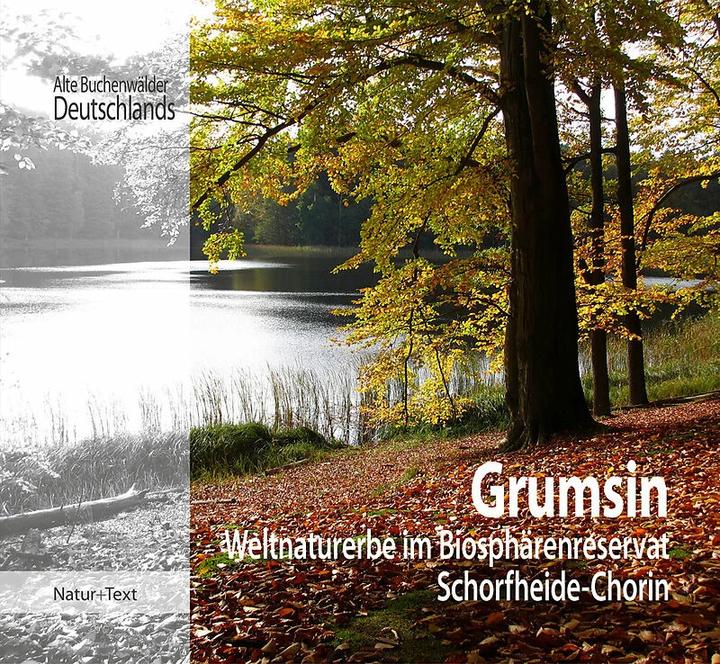 Image du produit Grumsin (Allemand, Office régional de l'environnement du Brandebourg, Beate Blahy, Martin Flade, 2017)
