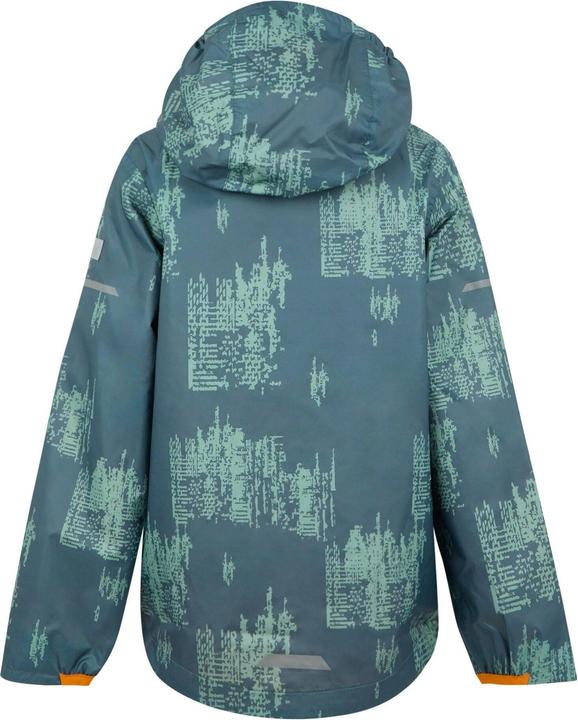 Actual product image Regatta Childrens/Kids Lever II Printed Waterproof Jacket (158)