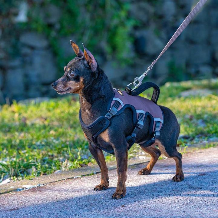 Produktbild Ferplast Ausbruchsicheres Hundegeschirr Ergotrekking (XS, Hund)