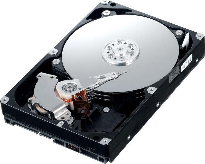 Samsung Hd103uj F1, 1tb, Sata-Ii (1 TB, 3.5")