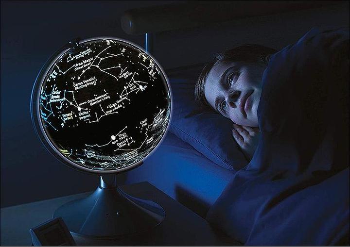 Image du produit Brainstorm Globe (22.80 cm)