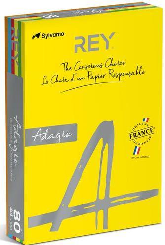 Produktbild Rey Farbiges Papier RYADA160X904 Farbig Sortiert 160 g/qm (160 g/m², 250 x, A4)