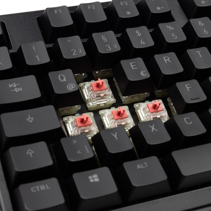 Actual product image CHERRY G80-3000N RGB TKL (DE, Cable)