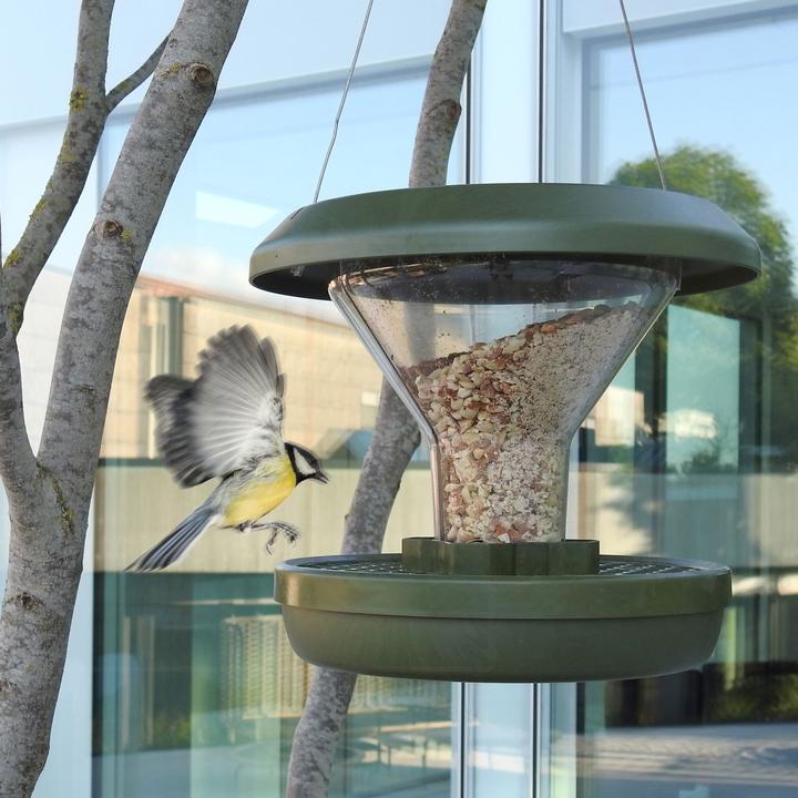 Image du produit Swissinno Vogel-Futtersilo "Davos" SMART BIRDS. Grün