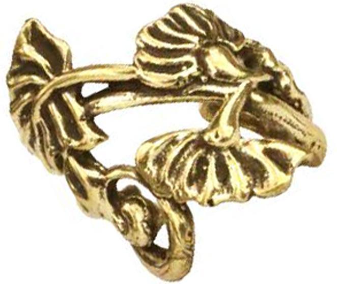 Immagine prodotto Star Piercing Ear Cuff vergoldet Planze mit Blätter