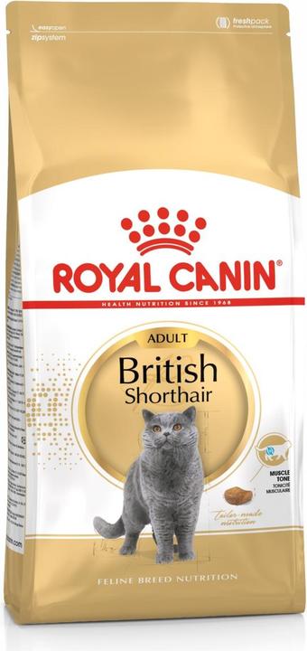 Royal Canin British Shorthair (Adult, 1 Stk., 4000 g)