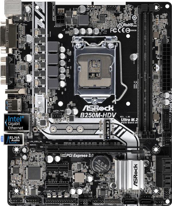 AsRock B250M-HDV - Motherboard - micro ATX - LGA1151 Socket - B250 - USB 3.0 - Gigabit (LGA 1151, Intel B250, mATX)