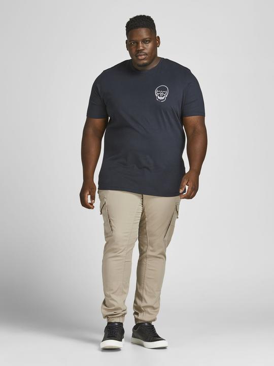 Image du produit Jack & Jones Paul Flake AKM 542 Pantalon Cargo Plus Size (42)