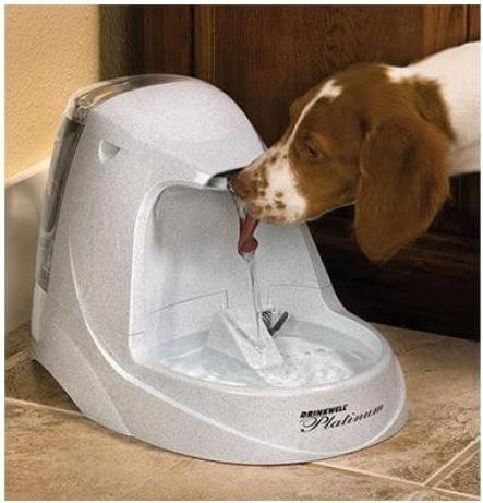 Produktbild PetSafe Platinum (5 l)