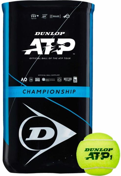 Dunlop satz von 2 röhren mit 4 tennisbällen atp championship
