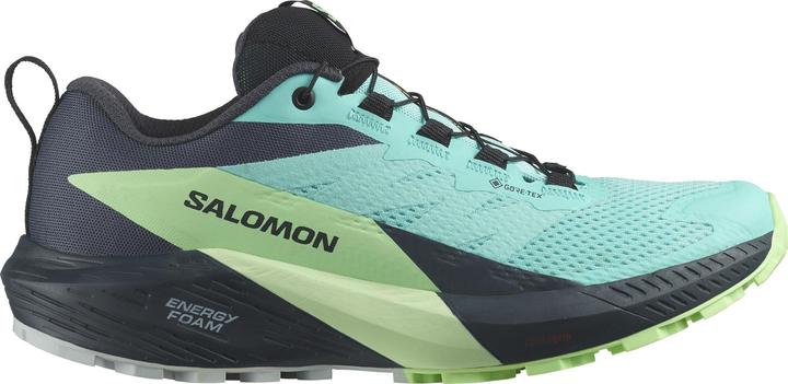 Immagine prodotto Salomon Sense Ride 5 GTX W 472160 40 2/3 (41)