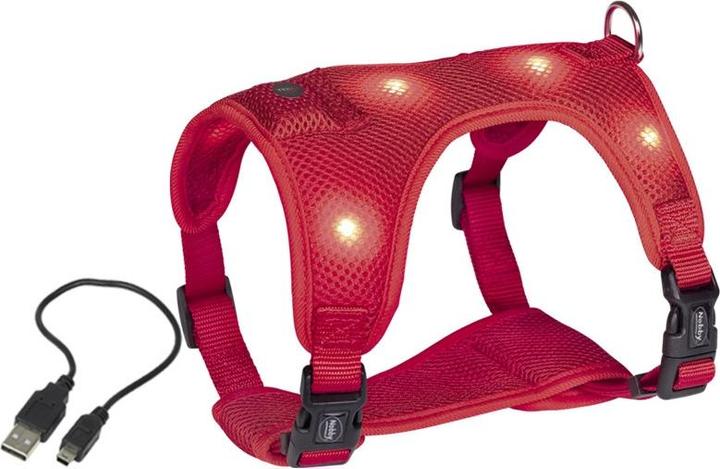 Actual product image Nobby Tableware FLASH MESH (S, Dog, General)