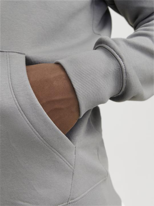 Produktbild Jack & Jones Jjestar Basic Sweat Zip Hood Noos (L)