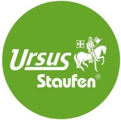 Produktbild Ursus Geschäftsbuch A4 kariert 144Blatt (144 x)