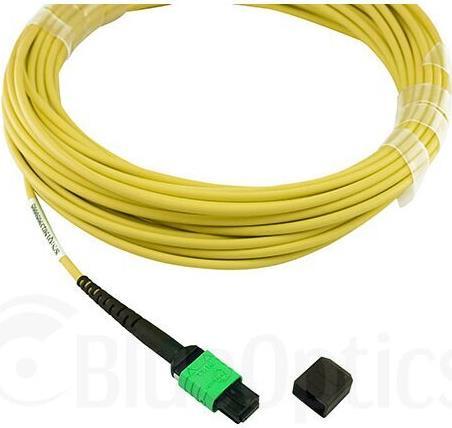 Image du produit BlueOptics Câble de raccordement monomode Juniper MTP-4LC-S10M compatible MTP-4xLC 10 mètres (10 m)