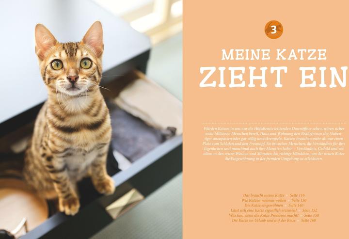 Image du produit Katzen (Allemand, Gerd Ludwig, 2013)