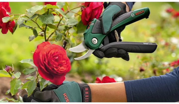 Immagine prodotto Bosch Home & Garden EasyPrune
