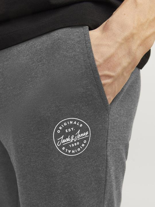 Immagine prodotto Jack & Jones Gordon Sweathose (L)