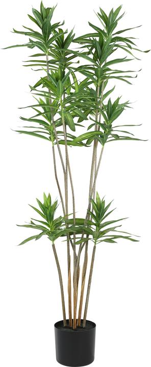 Actual product image EGLO Artificial plant in pot (125 cm)