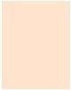 Produktbild Dior Forever No Transfer 24H Foundation (1,5N Neutral)