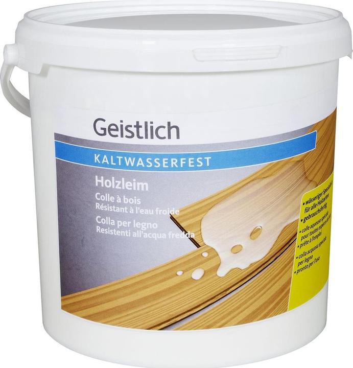 Actual product image Geistlich Glue (5000 g)
