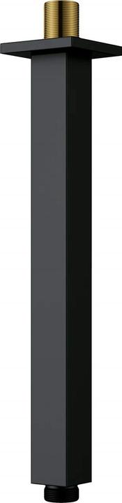 Actual product image Deante Shower spout for ceiling - 250 mm