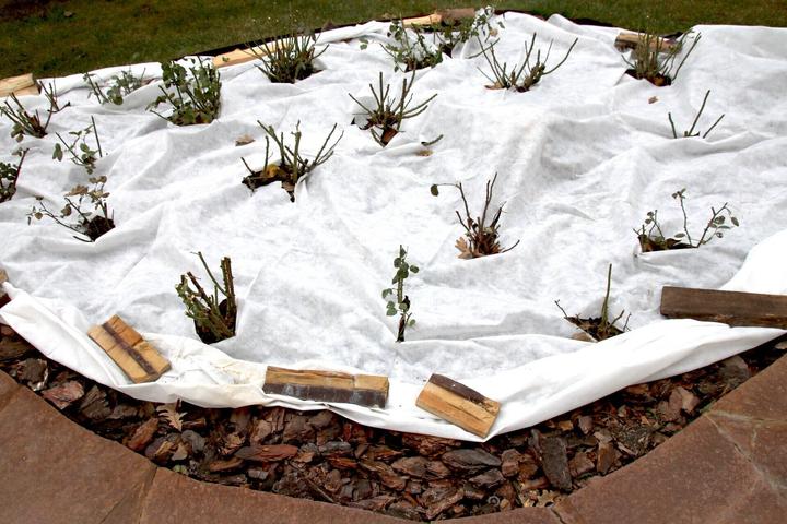 Produktbild Aquagart 40m² Geotextilvlies Gartenvlies Unkrautvlies Teichvlies 250g 1,6m
