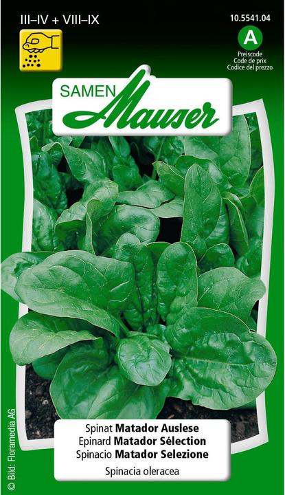 Image du produit Samen Mauser Sélection d'épinards Matador (Graines de légumes)