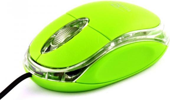 Esperanza Souris Titanum droite USB type A Optique 1000 DPI (Filaire)
