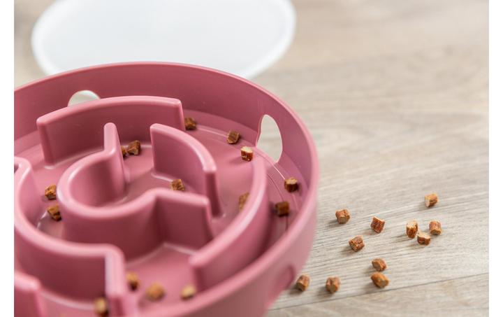 Image du produit Trixie Cat Activity Rocking Maze
