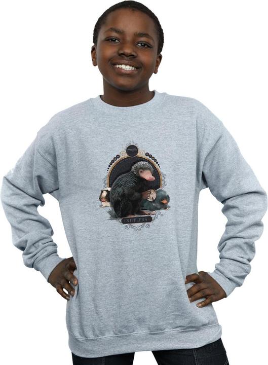 Actual product image Fantastic Beasts Boys Baby Nifflers Sweatshirt (152, 158)