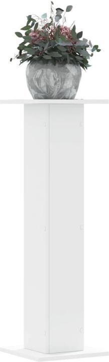 VidaXL Supports pour plantes 2 pcs. 30 x 30 x 95 cm