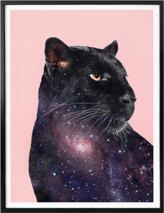Actual product image Trenddeko Loose - Galaxy Panther (24 x 30 cm)
