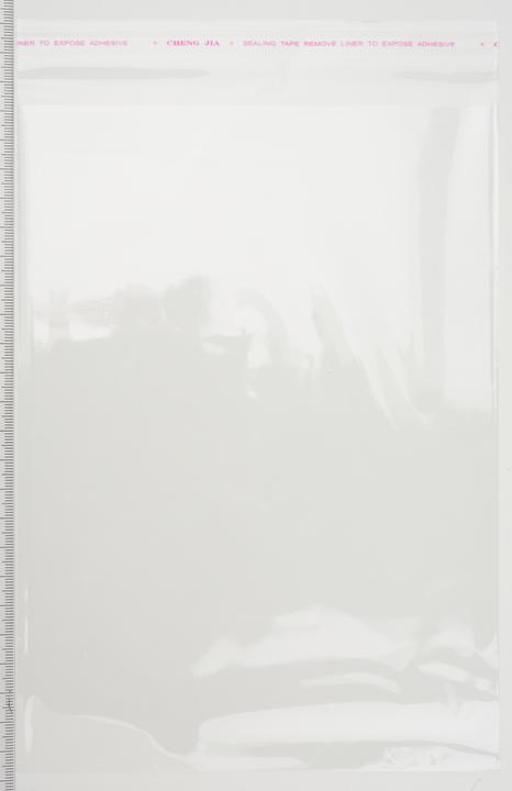 Immagine prodotto VBS Buste protettive XXL per carte "16,5 x 23 cm", 500 pezzi (500 pz.)