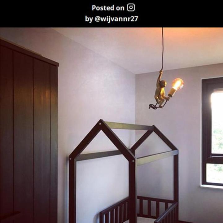 Actual product image Lucide Extravaganza Chimp (E27)