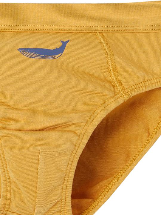 Immagine prodotto Vertbaudet Confezione da 7 slip da ragazzo in cotone biologico, balene (98, Confezione da 7)