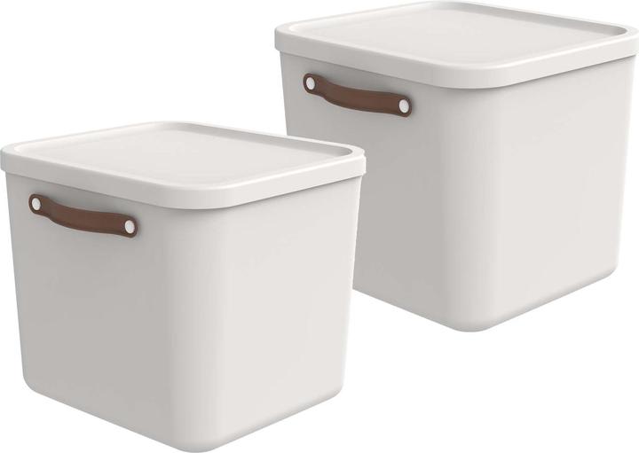 Actual product image Rotho Maloja (39.5 x 38 x 34 cm, 40 l)