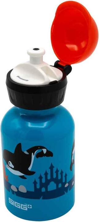 Actual product image Sigg Kbt (0.30 l)